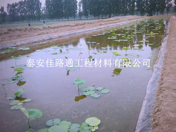 養殖防滲膜施工別大意，這些控制要點要抓實